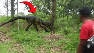 If These Creatures Were Not Filmed, No One Would Have Believed It..