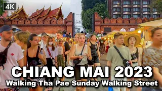 【🇹🇭 4K】Chiang Mai Thailand 2023 - Walking in Thapae Sunday Night Market