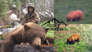 OREGON SPRING BEAR | 2020 THROWBACK HUNT