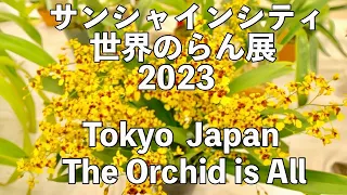 2023年1月5日　【Orchid]  Tokyo Japan  The Orchid is All    サンシャインシティ　世界のらん展　2023#忍者 #蘭 #orchid #orchids