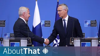Finland joined NATO. Here's what it means for Russia | About That