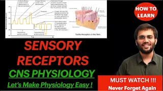 CNS Physiology Sensory Receptors | Receptor Potential| Generator Potential Classification Properties