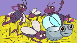 Las moscas y la miel