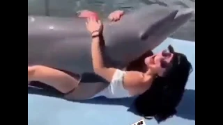 Le tenía ganas el delfín! sex delfín