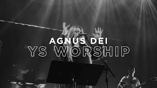 Agnus Dei (Moment) - Mari Helart | Young Saints Conference 2019