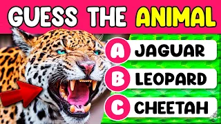 Guess the Animal Quiz | Can You Name the Animals? | Animal Quiz Guessing Game