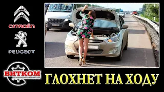 Автомобиль глохнет на ходу. Пежо Ситроен дизель HDI. Поиск неисправности.