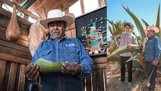 ¿CÓMO se ELABORA el Pulque?| Bebida SAGRADA de los Aztecas