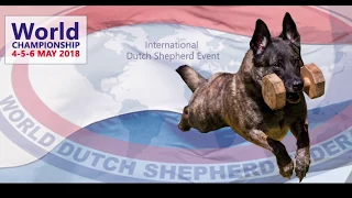 World Championship Dutch Shepherds WDSF 2018 Location Roden