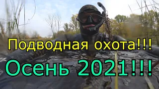 Подводная охота осень 2021!!!