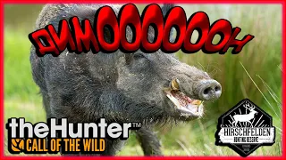 The Hunter Call of the Wild .🐗КАБАНЧИК ДИМОООН 📢 😁 ОХОТА НА КАБАНА🔫