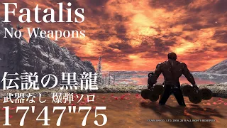 [MHW:I] Fatalis : No Weapon 伝説の黒龍/ミラボレアス 爆弾ソロ 17'47"75