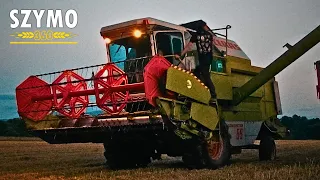 🔥Żniwa z Claas'ą🔥Wieczorne żniwa pszenicy🔥Claas Dominator 86 & Massey Ferguson 6485🔥