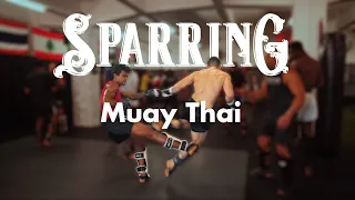 Sparring in Muay Thai: A Short Documentary