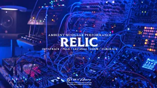 Relic - Ambient Modular Dub Techno (Arp 2600, DDRM, Octatrack, Eurorack, Peak)