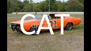 General Lee Horn Cat (Original)