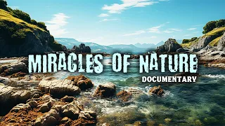 The wonderful world of natural phenomena! Miracles of Nature - movie in English! Documentary