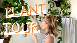 64 Plants in a 1 Bedroom Apartment