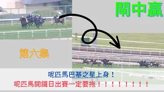 【香港賽馬】【閘中贏】開鑼日落班馬試閘試準；有一匹馬好似「巴基之星」上身咁