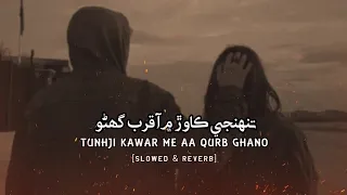 Tunhji Kawar Me Aa Qurb Sindhi Slowed & Reverb | Mumtaz Lashari Songs | New Sindhi Slowed Songs