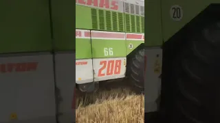 Claas mega 208#уборка урожая 2023года