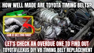 How Well Made are Toyota Timing Belts? Let's Check an OVERDUE One! | DIY V8 Timing Belt
