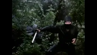 Sho Kosugi fight scenes "9 Deaths of the Ninja" (1985) Kane Kosugi fight scene archives