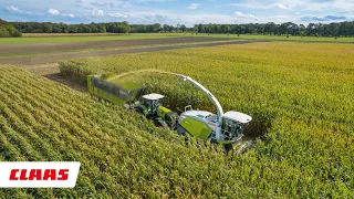 The CLAAS JAGUAR forage harvester | Quality Silage