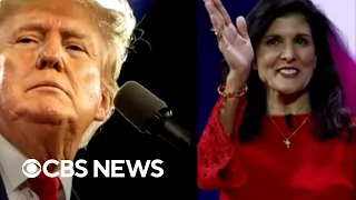 What South Carolina voters are saying about Trump, Haley