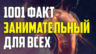 1001 ЗАНИМАТЕЛЬНЫЙ ФАКТ ОБО ВСЕМ НА СВЕТЕ