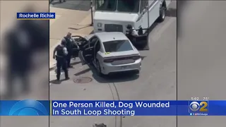 One Person Killed, Dog Wounded In South Loop Shooting