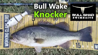 C2C Bull Shad Swimbaits Bull Wake Knocker Swimbait Topwater Bass Fishing