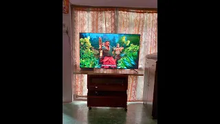 One plus TV U1S 50 inch ..Wallmount fitting.