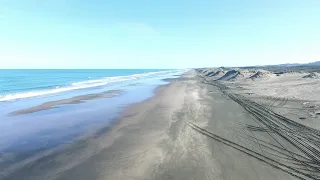 Driving Muriwai beach and finding your spot