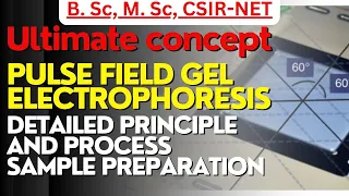 Pulse field gel electrophoresis/Principle, process, sample preparation #biotechnology #csirnet