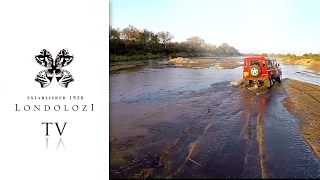 A Love Affair with Land Rover - Londolozi TV