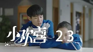 小歡喜 23 | A Little Reunion 23（黃磊、海清、陶虹等主演）