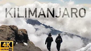 Hiking Kilimanjaro via Lemosho Route (2024)