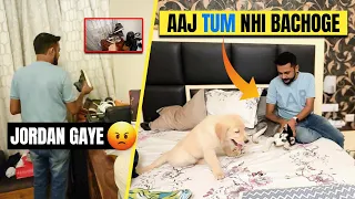 Prank On  @ExploreTheUnseen2 Gone Wrong SwatiSoniDayal#siberianhusky #goldenretriever #dogtraining