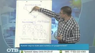 Как правильно составить генеалогическое древо? (27.05.14)