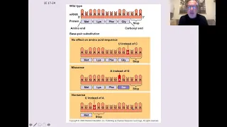 B4-6 Mutations & mRNA Processing