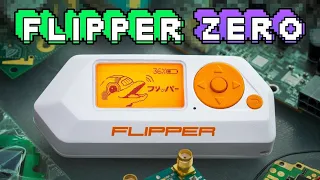 Flipper Zero | Установка кастомной прошивки и разблокировка частот