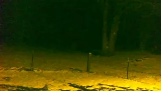 Sasquatch Bigfoot  Caught on security camera in Kentucky