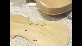 # 109 - The "Mahogany" violin is coming together