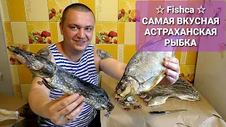 РЫБНОЕ ЭЛЬДОРАДО ! ЛЕЩ И ЩУКА ПОД ПИВКО ! САМАЯ ВКУСНАЯ АСТРАХАНСКАЯ ВЯЛЕНАЯ РЫБА ОТ КОМПАНИИ Fishca