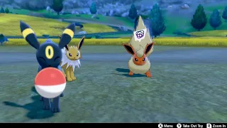 Pokemon Sword: Umbreon and Flareon steal from each other