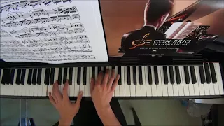 LCM Piano 2018-2020 Grade 6 List A5 Beethoven Andante (Sonata in G Major Op.79 Movt 2) by Alan