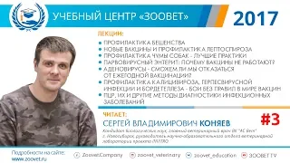 C. В. Коняев в УЦ «Зоовет» | Профилактика лептоспироза, чума собак | ч. 3/5