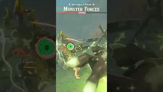 Lore Accurate Link vs Monster Forces