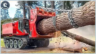 Extreme Dangerous Fastest Big Firewood Processing And Chainsaw Machine That Are On Another Level